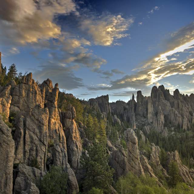 Custer State Park Needles