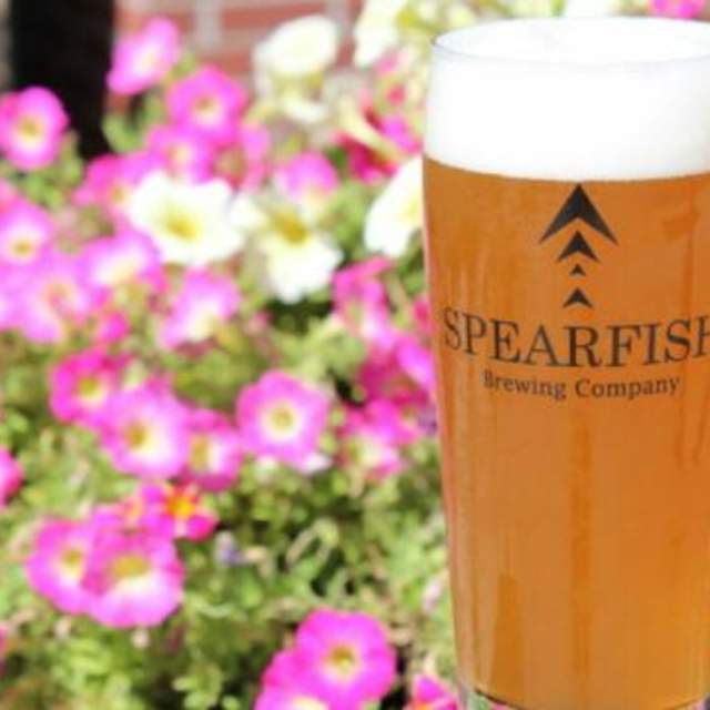 Sipping Through Spearfish