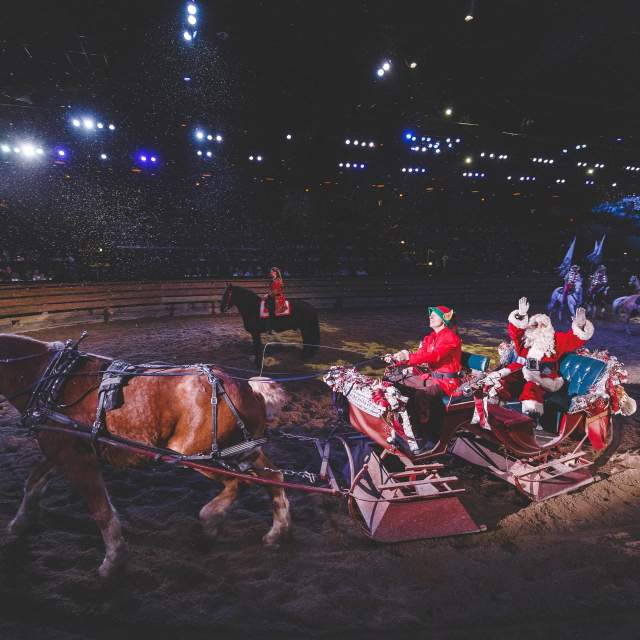 Christmas show