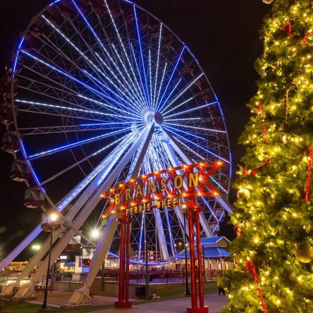 Christmas Tree The Track Ferris Wheel