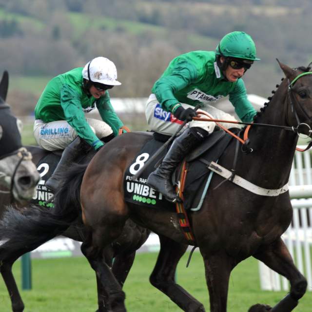 Horse racing at the Cheltenham Festival at Cheltenham Racecourse.