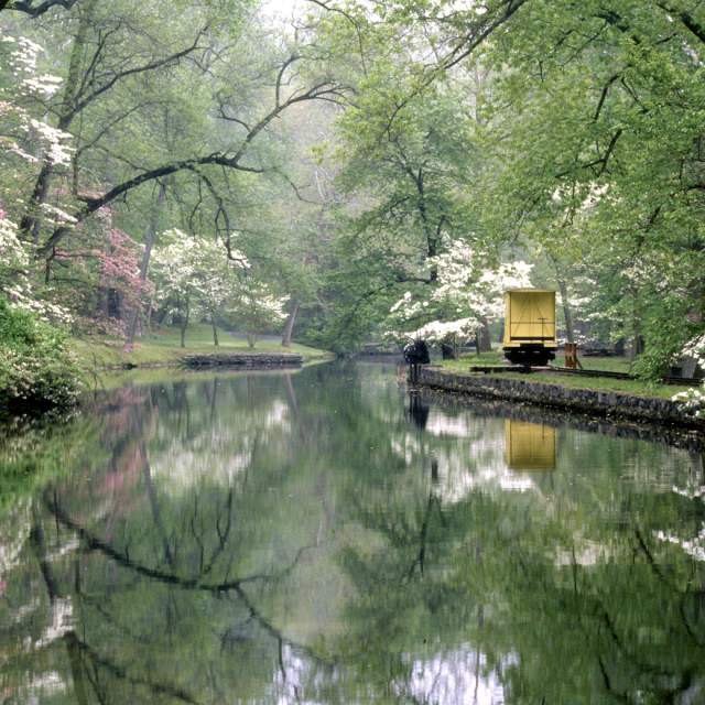 Hagley During the Spring