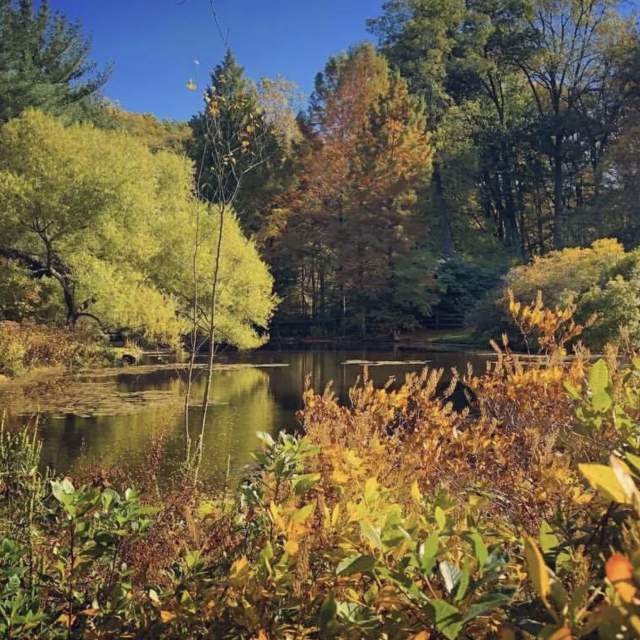 Jenkins Arboretum in Fall