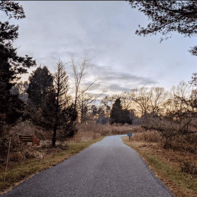 Tyler Arboretum