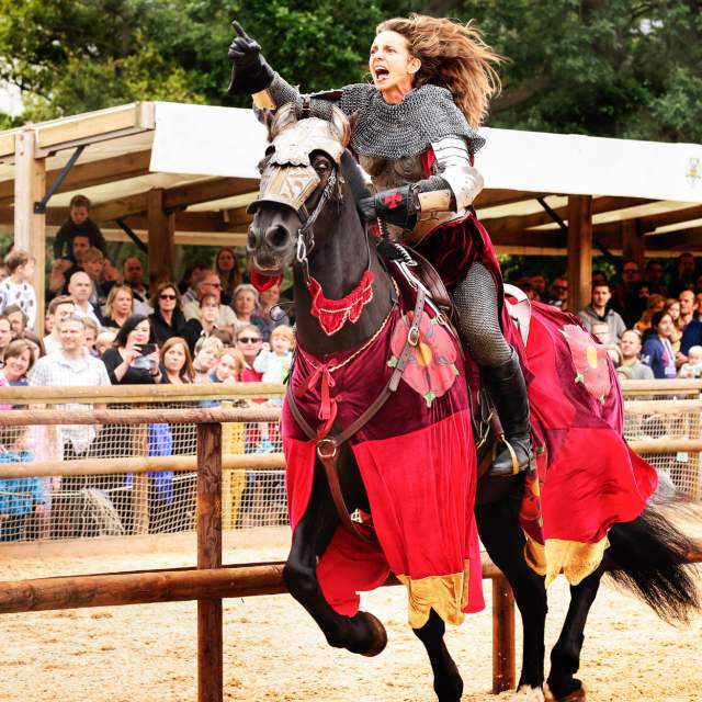 A woman riding on a galloping horse dressed as a night in front of a watching crowd