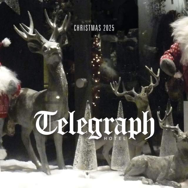 Telegraph Christmas 2025 reindeer