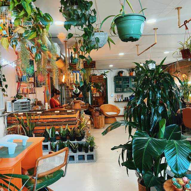 Meet Crecer, A Latina-Owned Hair Salon-Meets-Plant Shop in Bishop Arts