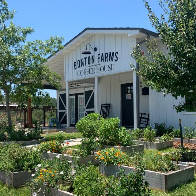 Neighborhood Guide South Dallas