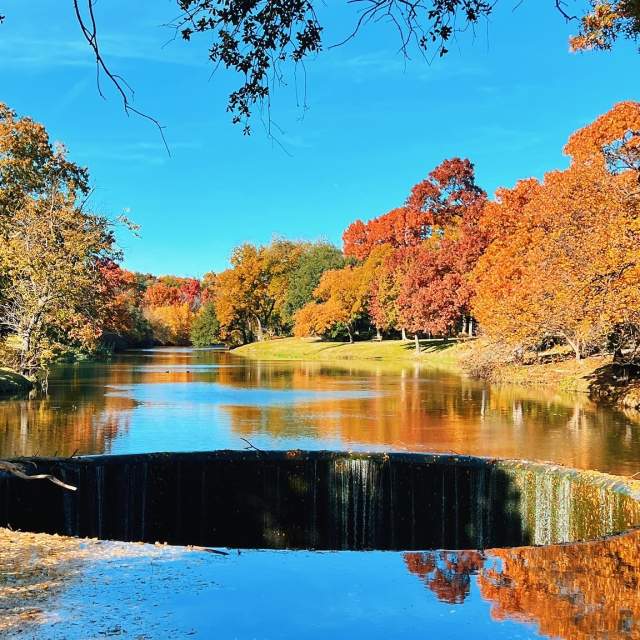 Fall Foliage
