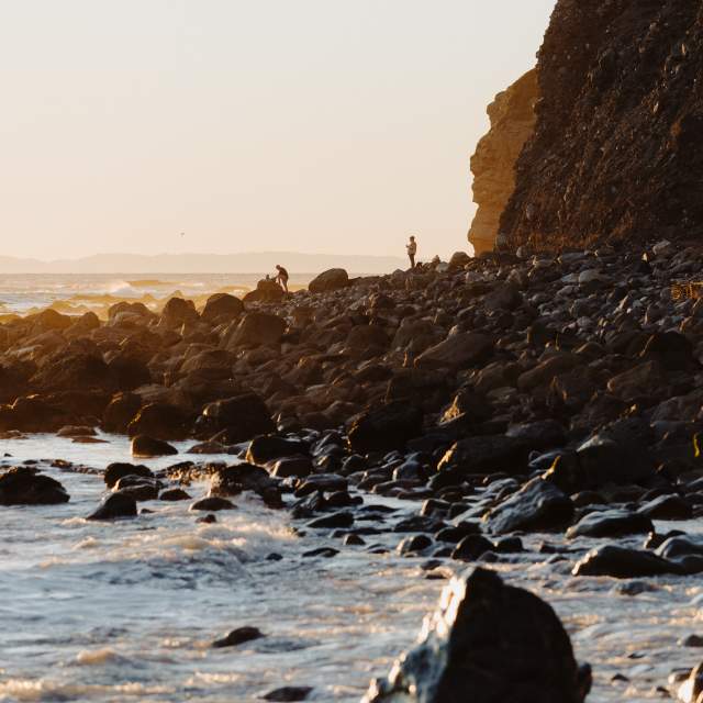 Headlands Bluff-Behind Ocean Institute
