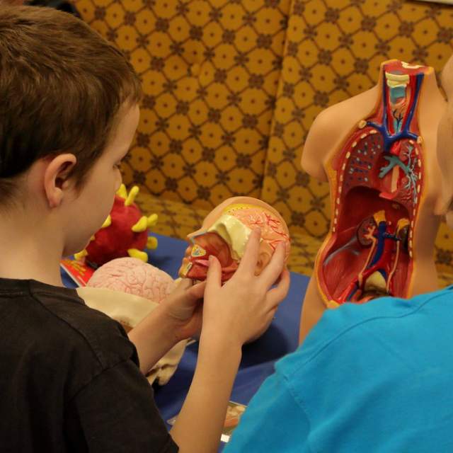 Sidmouth Science Festival
