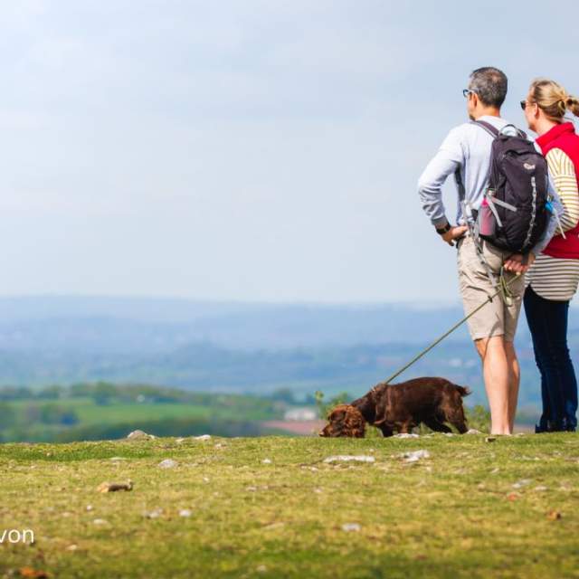 view of The Blackdown Hills Area of Outstanding Natural Beauty
