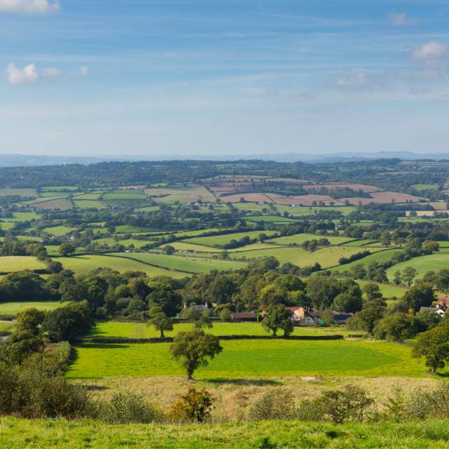 Honiton East Devon