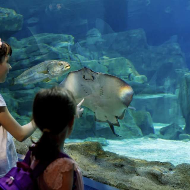 two girls at an aquarium