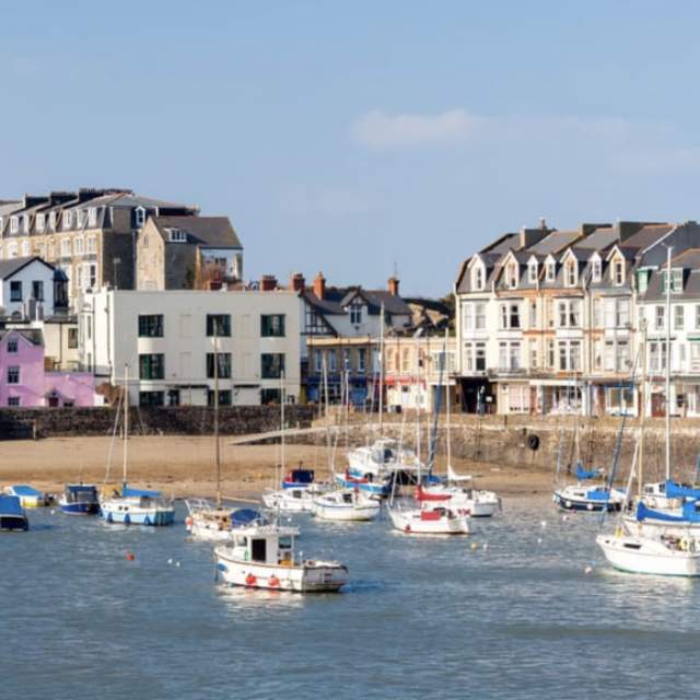 Steering Group Members