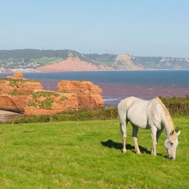 view of East Devon cliffs