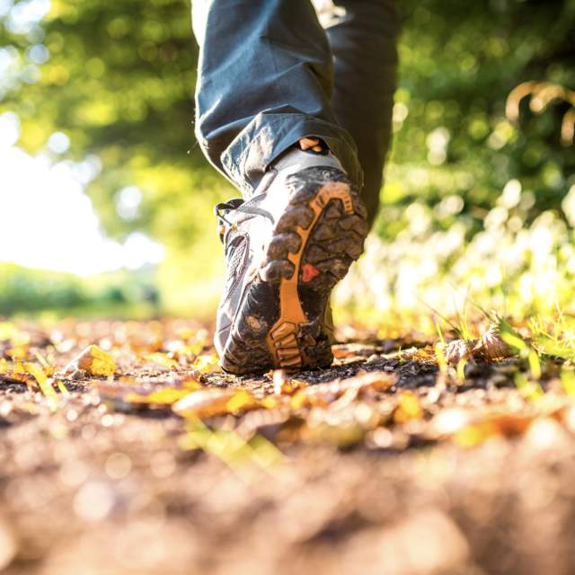 Sidmouth Walking Festival