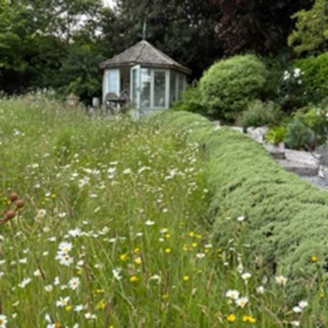 A lush garden with wildflowers and a manicured hedge leads to a charming wooden greenhouse. The scene is serene and surrounded by dense greenery.