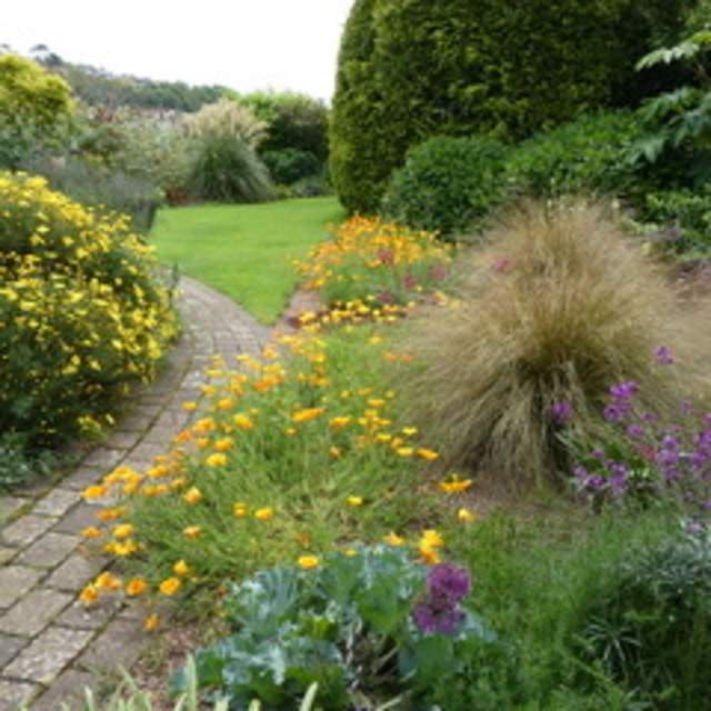 A serene garden path with vibrant yellow and orange flowers lining one side. Lush green grass and various shrubs create a tranquil, inviting atmosphere.