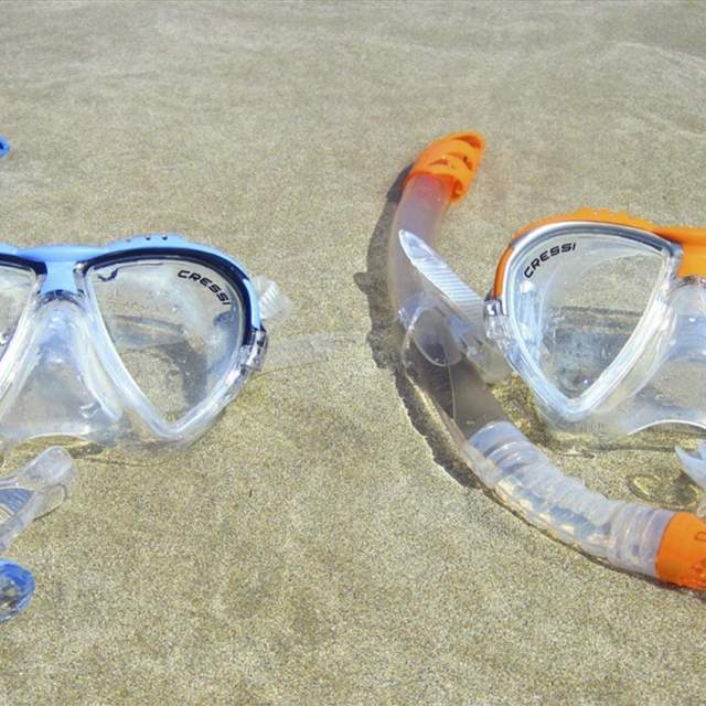 Scuba diving and snorkelling in Devon