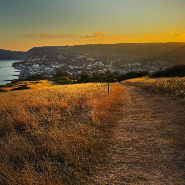A sunset view over an East Devon coastal town, with a golden grassy path in the foreground where a few people are walking. The coastline curves towards the sea on the left, and white buildings sit nestled below gently rising hills, all glowing in warm orange evening light.