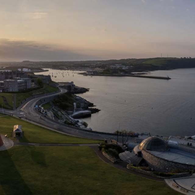 Advisory Board Members