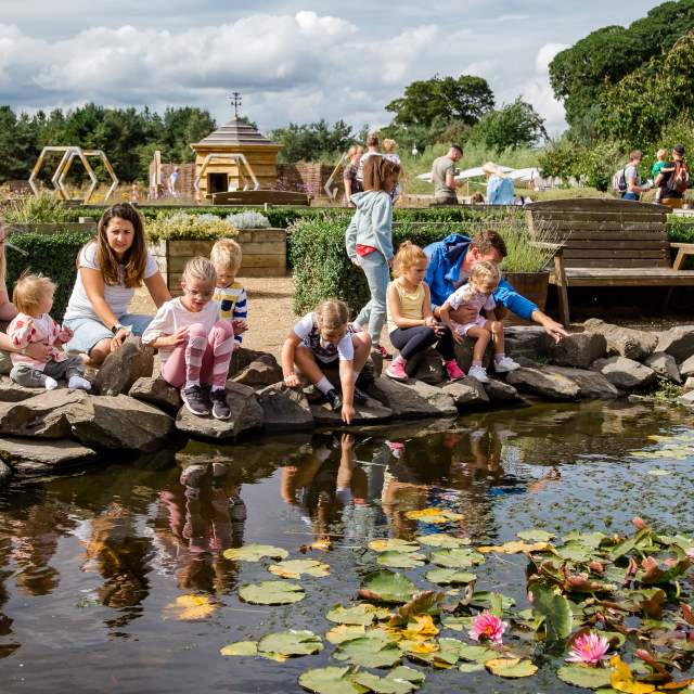 large pond with family watching koi carp at Woldies