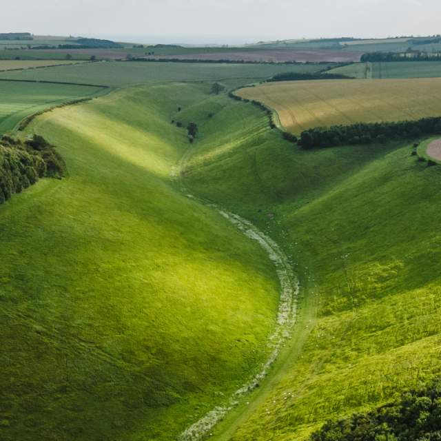 An ariel shot over the green fields of the Yorkshire Wolds with a valley running central.