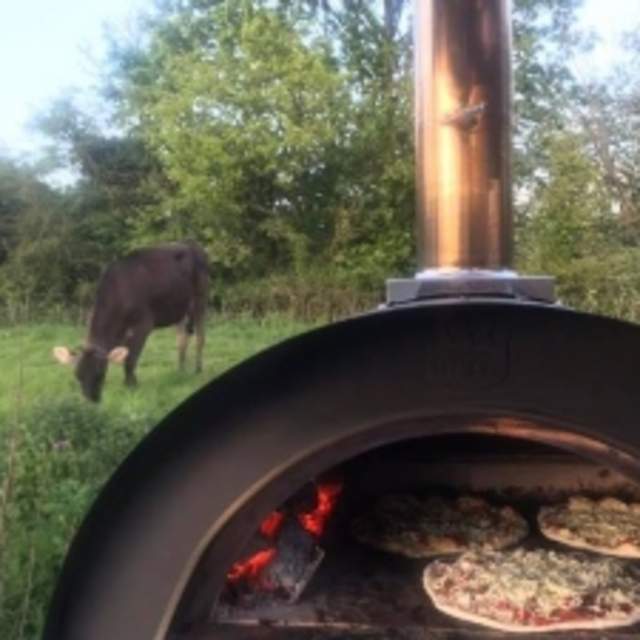 Pizza oven Field and goat in the background