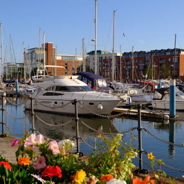 Boats and yachts moored in Hull marina, with calm water reflecting the vessels and nearby buildings, and colourful flowers in the foreground under a clear blue sky.