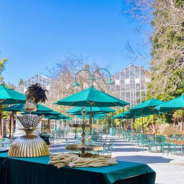 Event space of Mission Plaza and San Juan Villa at Gilroy Gardens shows outdoors event tables and umbrellas with decor and serving ware on a green linen lined table. The background is a blue sky with a large greenhouse and unique trees.