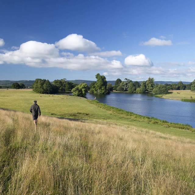 Walking in Petworth Park