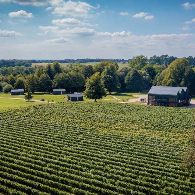 Ashling Park Vineyard