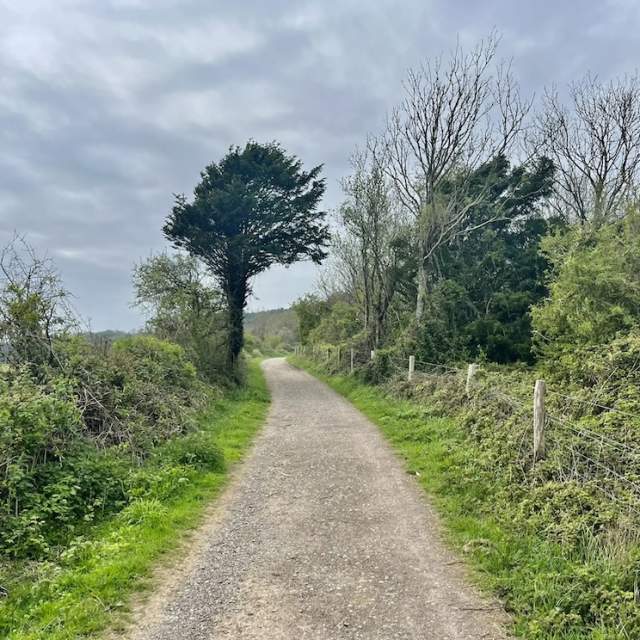 Gravel Path cycle track in South Downs