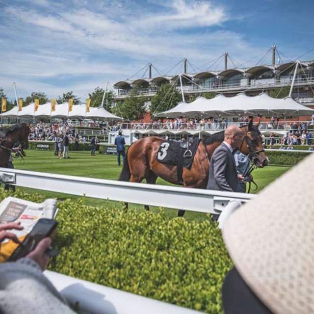 People and racehorses at Goodwood Racecourse