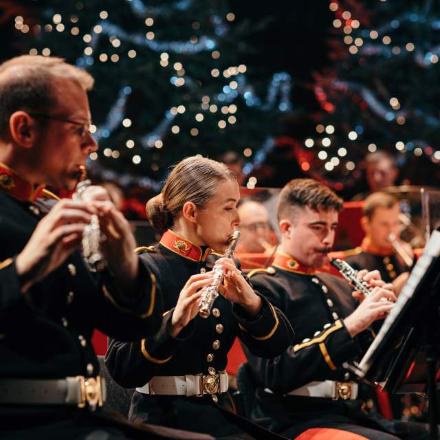 musicians playing with fairy lights in the background