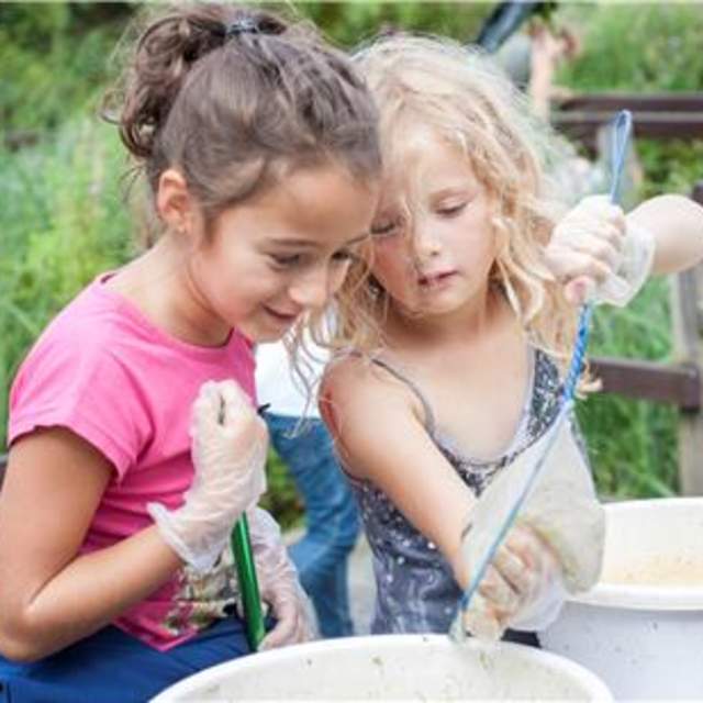 Children Pond dipping at RSPB Pagham Harbour