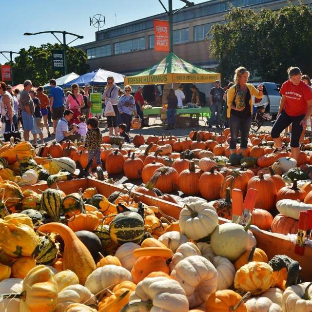 Fall Fest