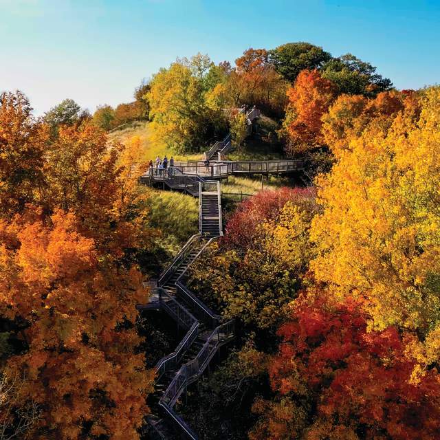 Ultimate Fall Bucket List