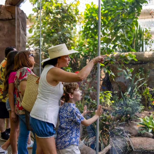 Moody Gardens