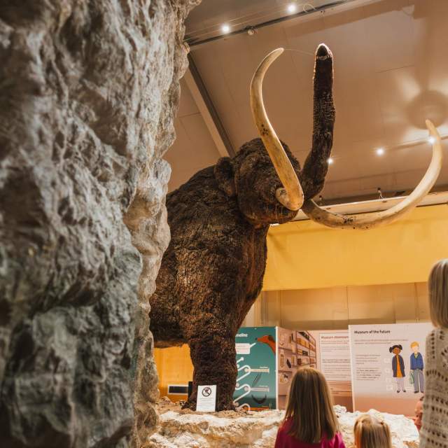 Hull & East Riding Archaeology Museum Shortlisted for National Award