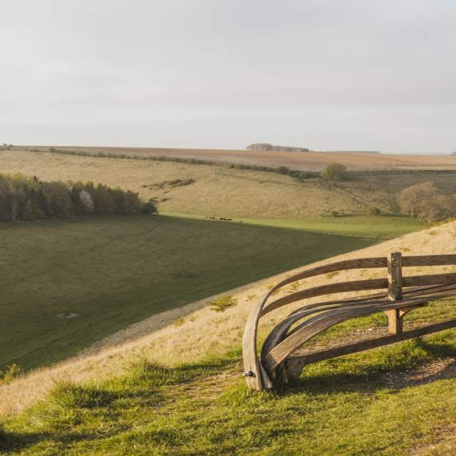 Wolds