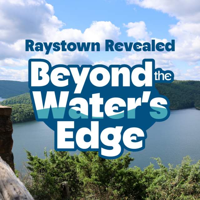 Raystown Revealed Banner