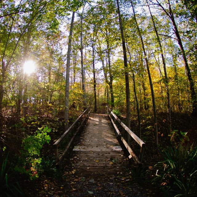 Scenic Parks in Madison County to Explore This Fall