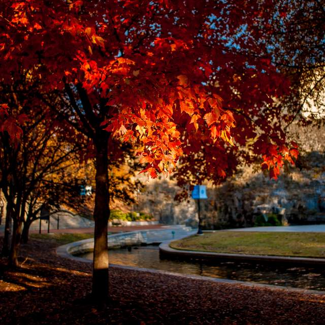 Big Spring Park Fall