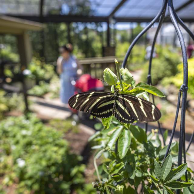 Your Summer Guide to Rocket City: 10 Must-Do Adventures in Huntsville