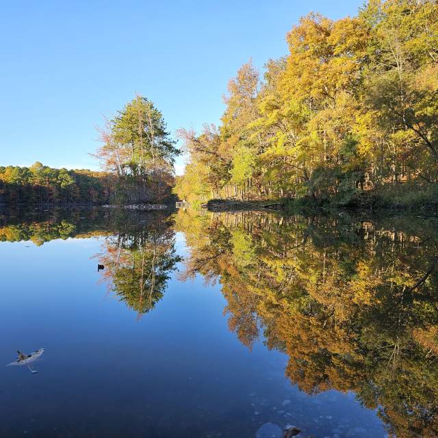 Best Fall Outdoor Activities in Huntsville and Madison County