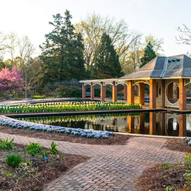 Huntsville Botanical Garden Zoom Backdrop