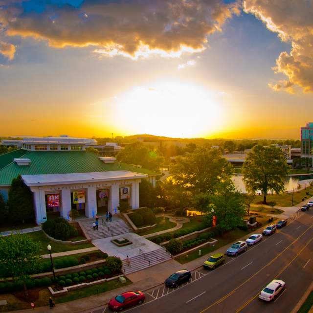 Museum of Art Zoom Backdrop