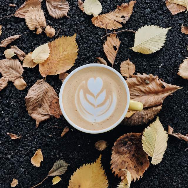 Cozy Eats and Warm Drinks: The Best Huntsville Restaurants for Comfort Food